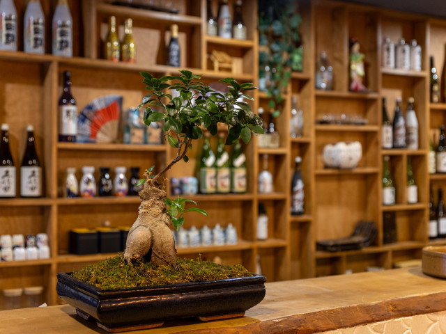 Kenji by Katsuo Sushi Bar 